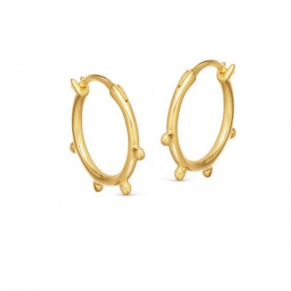 Missoma Jewelry - Missoma Tiny Orb Hinged Hoops NWT